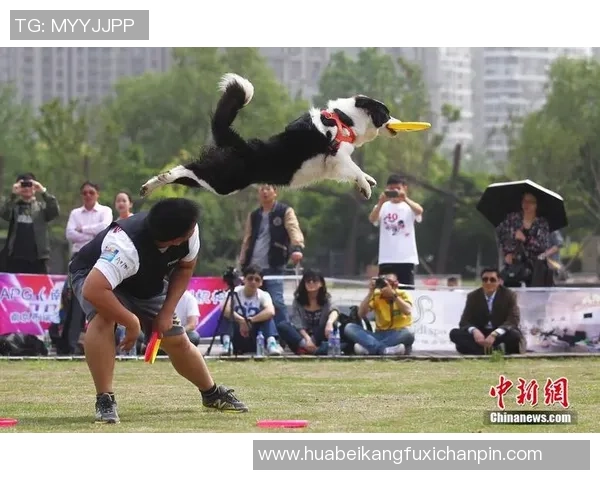 南京飞盘队在世界攀岩锦标赛中的默契配合与精彩表现分析