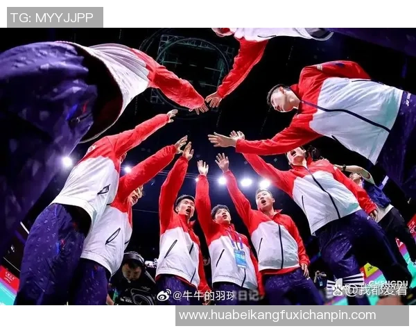 深圳羽毛球队精英赛之路：拼搏与荣耀的奋斗历程揭秘